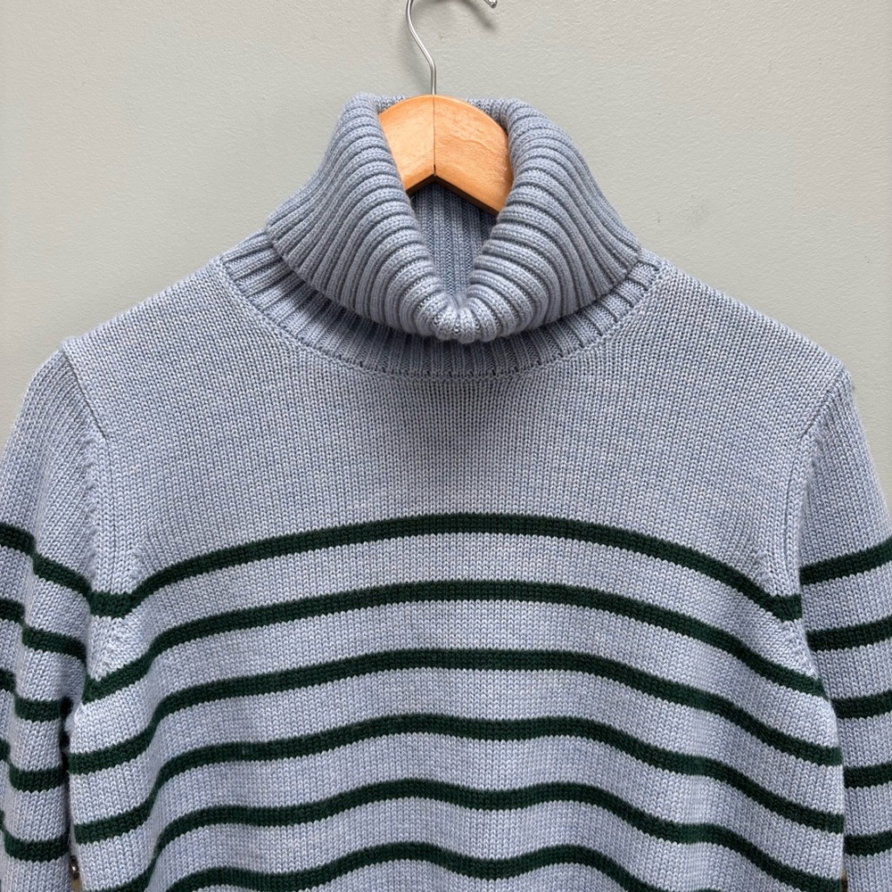 Tuckernuck Blue and Green Striped Turtleneck Sweater - Picture 3 of 8